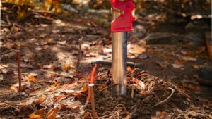 pieux visses entretien